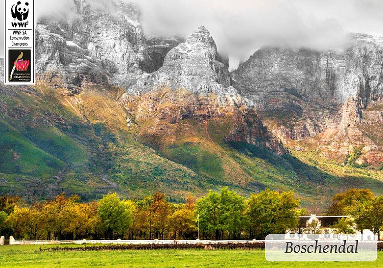 Boschendal