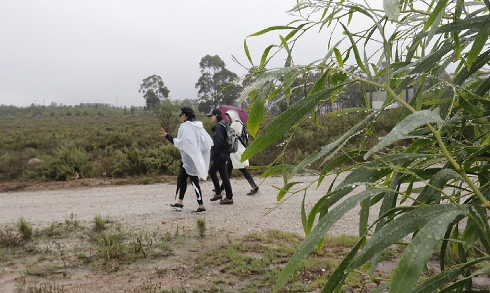 © WWF South Africa/Rob Tarr