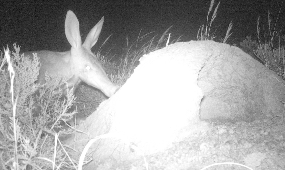 © Overberg Renosterveld Conservation Trust