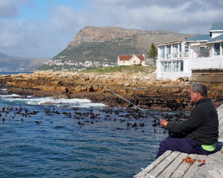Guide for responsible anglers now available