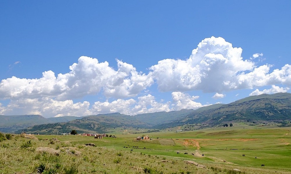 © WWF South Africa/Samir Randera-Rees