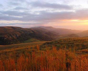 grasslands at sunset