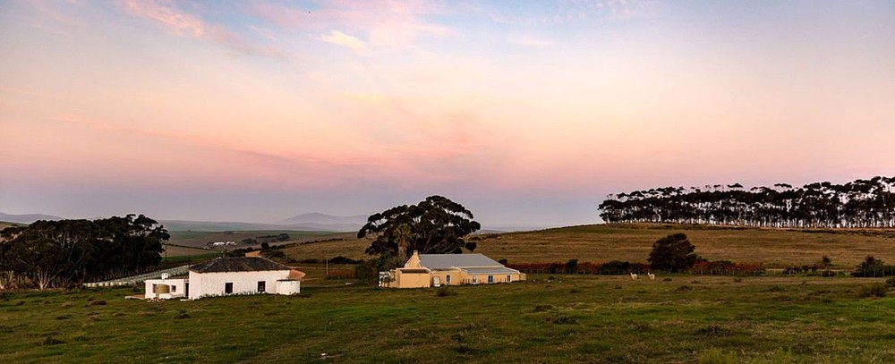 © Overberg Renosterveld Conservation Trust