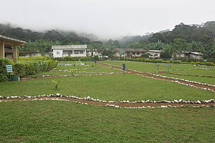 Government primary school Nsoung -First ESD pilot school in Cameroon to attain the status of a ...
© Janet Mukoko/WWF
© Janet Mukoko/WWF
