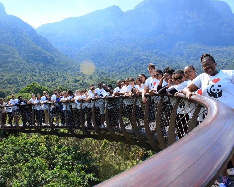WWF celebrates a decade of internship success