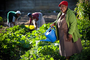 Watering the crops