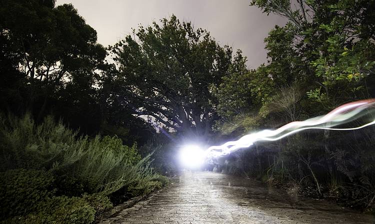 Join an Earth Hour Adventure dash on 30 March 2019
