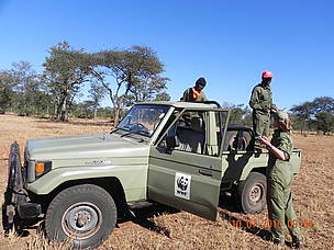 These rangers put their lives in danger to protect our rhinos.