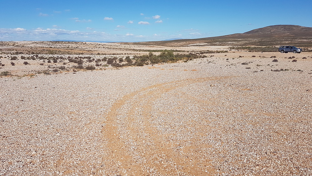 © WWF South Africa/ Jan Coetzee LHSKT Nature Reserve