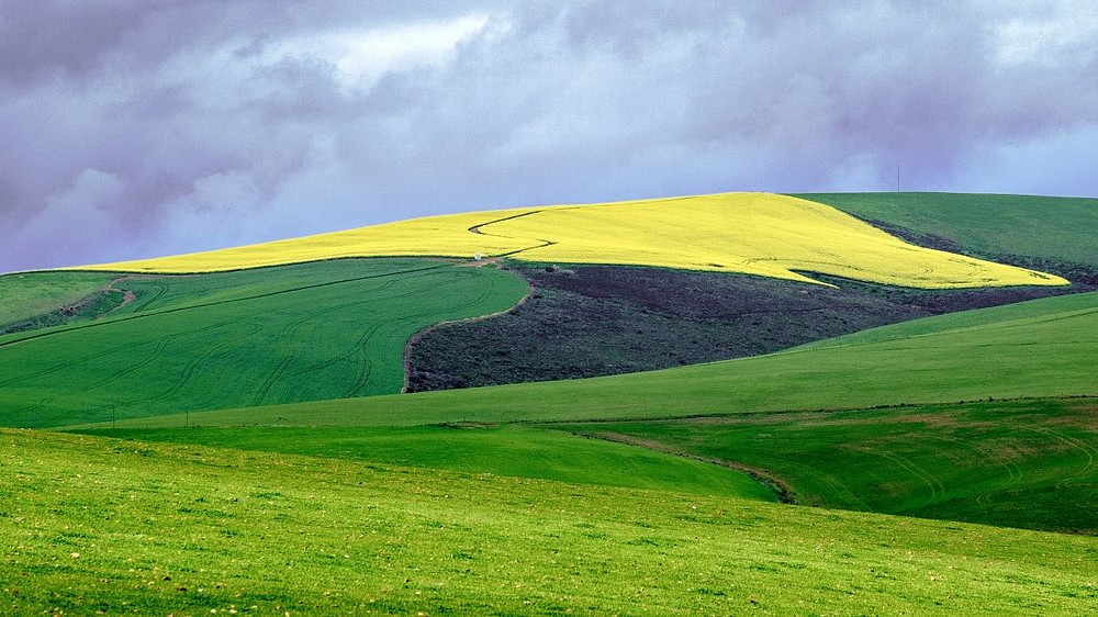 © Flickr Creative Commons/Steve Crane