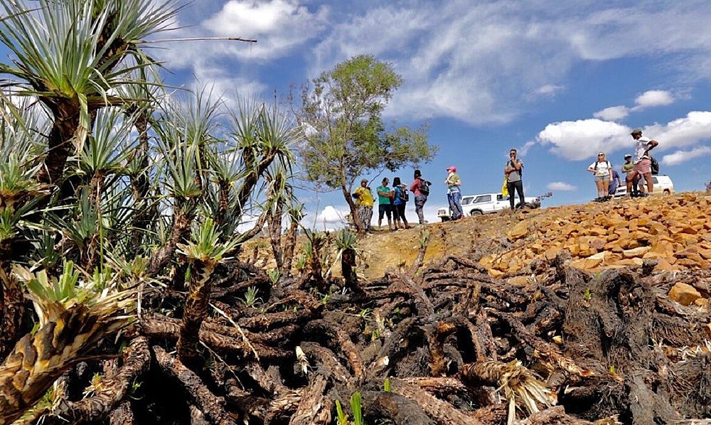 © WWF South Africa/Rob Tarr