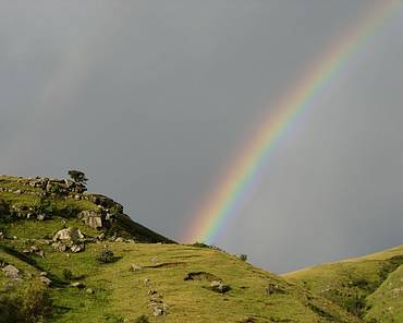 Rainbow in the grasslands