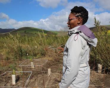 Lumka Madolo propogation