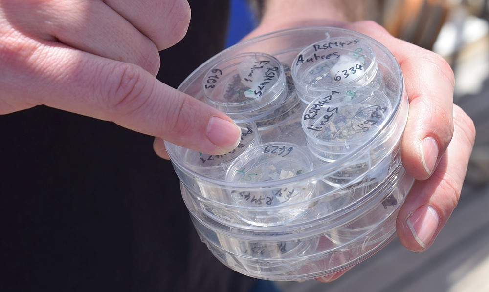 © WWF South Africa Ruan Wolfaardt Sample microplastics sifted