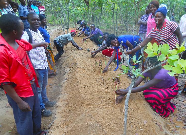 ZYCALA Project Improves Lives