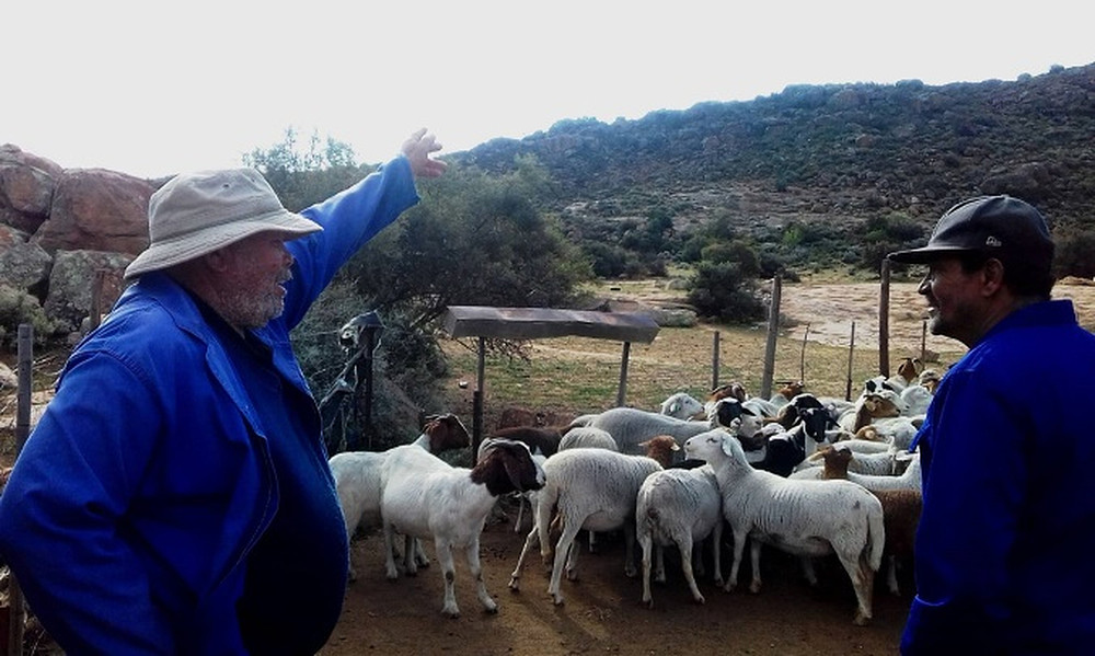 © CSA Kamiesberg farmers