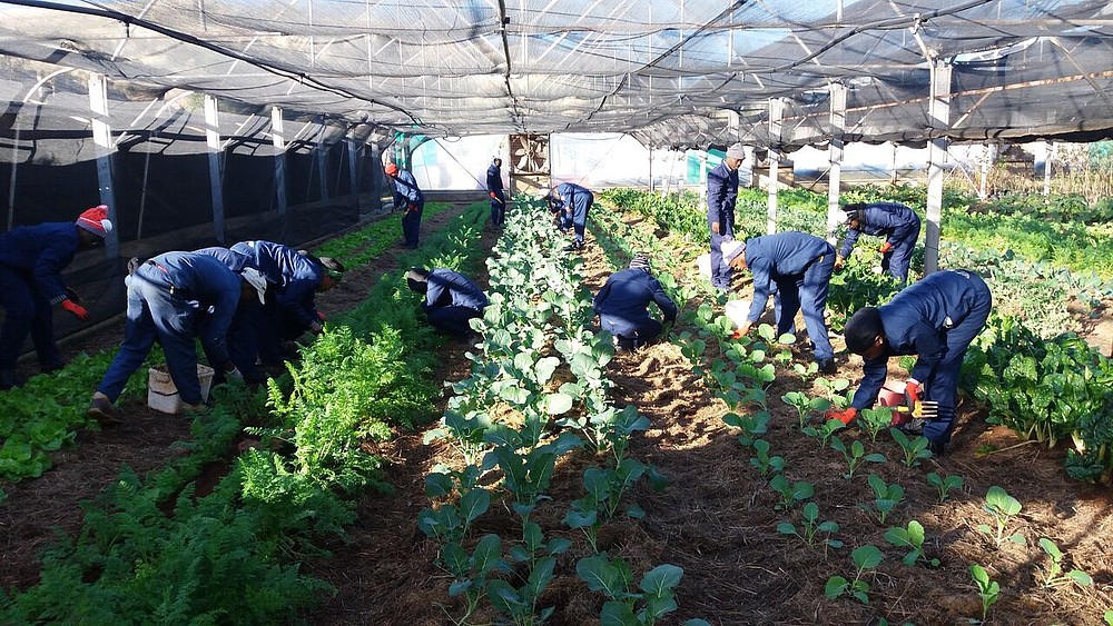 © WWF As part of the WWF’s investment, a group of smallholder farmers discover various methods of sustainable farming during training at 17 Shaft facility in Soweto.