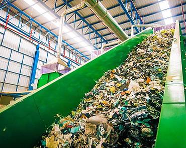 Packaging vegetables correctly can prevent food waste