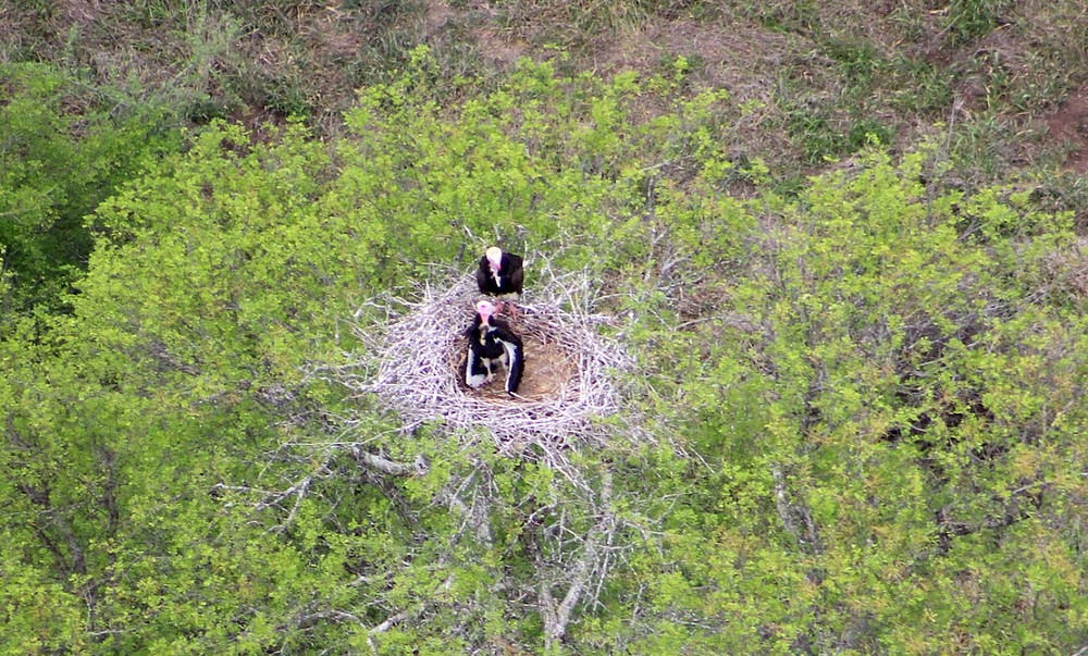 © Southern African Wildlife College