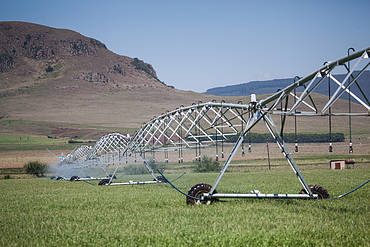irrigation