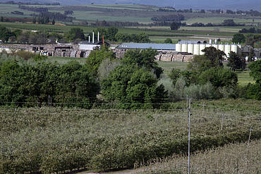 Ceres Valley